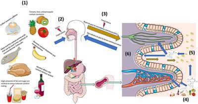 Eating for 3.8 × 1013: Examining the Impact of Diet and Nutrition on the Microbiota-Gut-Brain Axis Through the Lens of Microbial Endocrinology